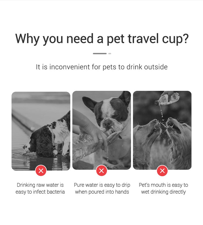 Portable Dog Water Bottle — Fresh Water On Every Walk