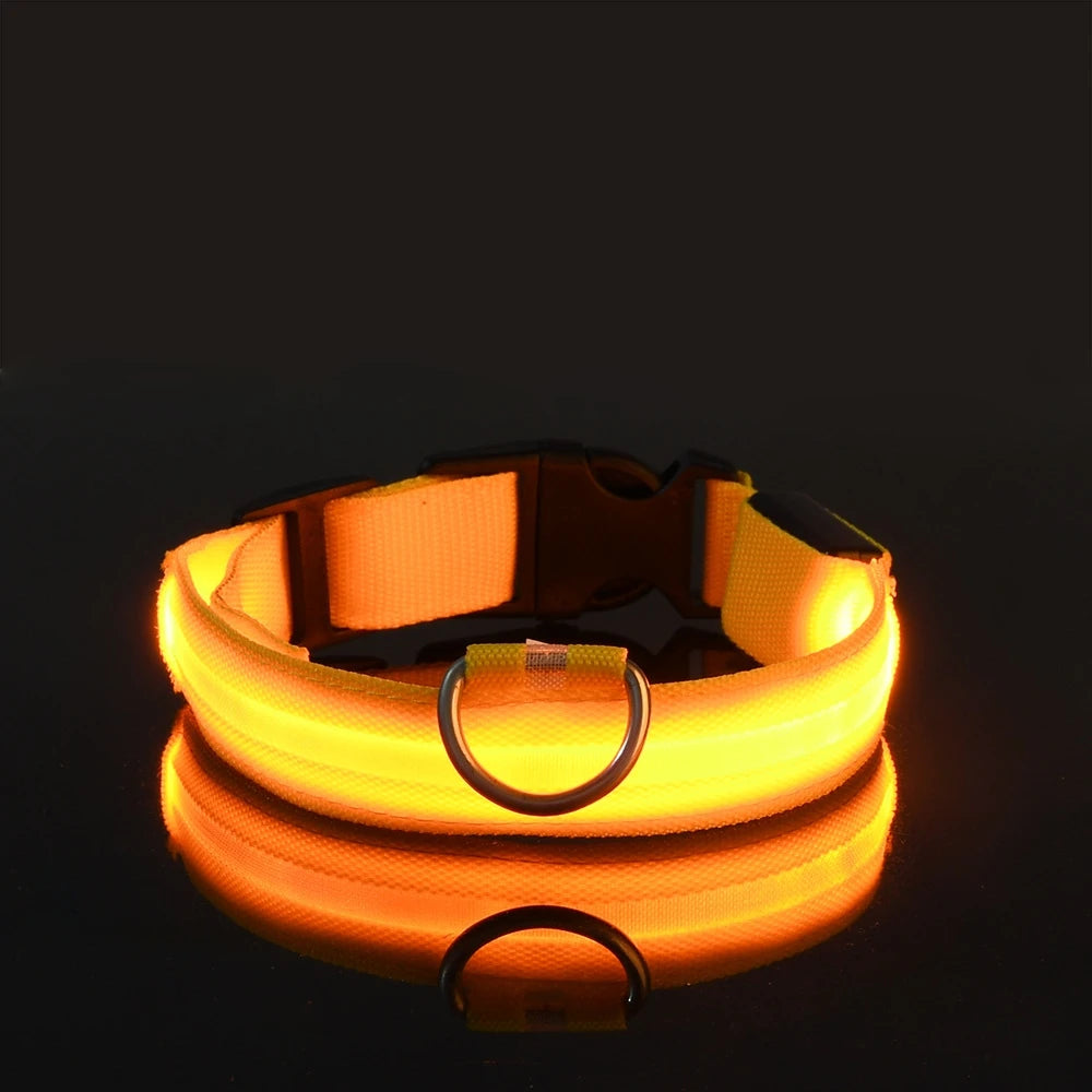 LED Safety Collar — Be Seen on Every Night Walk