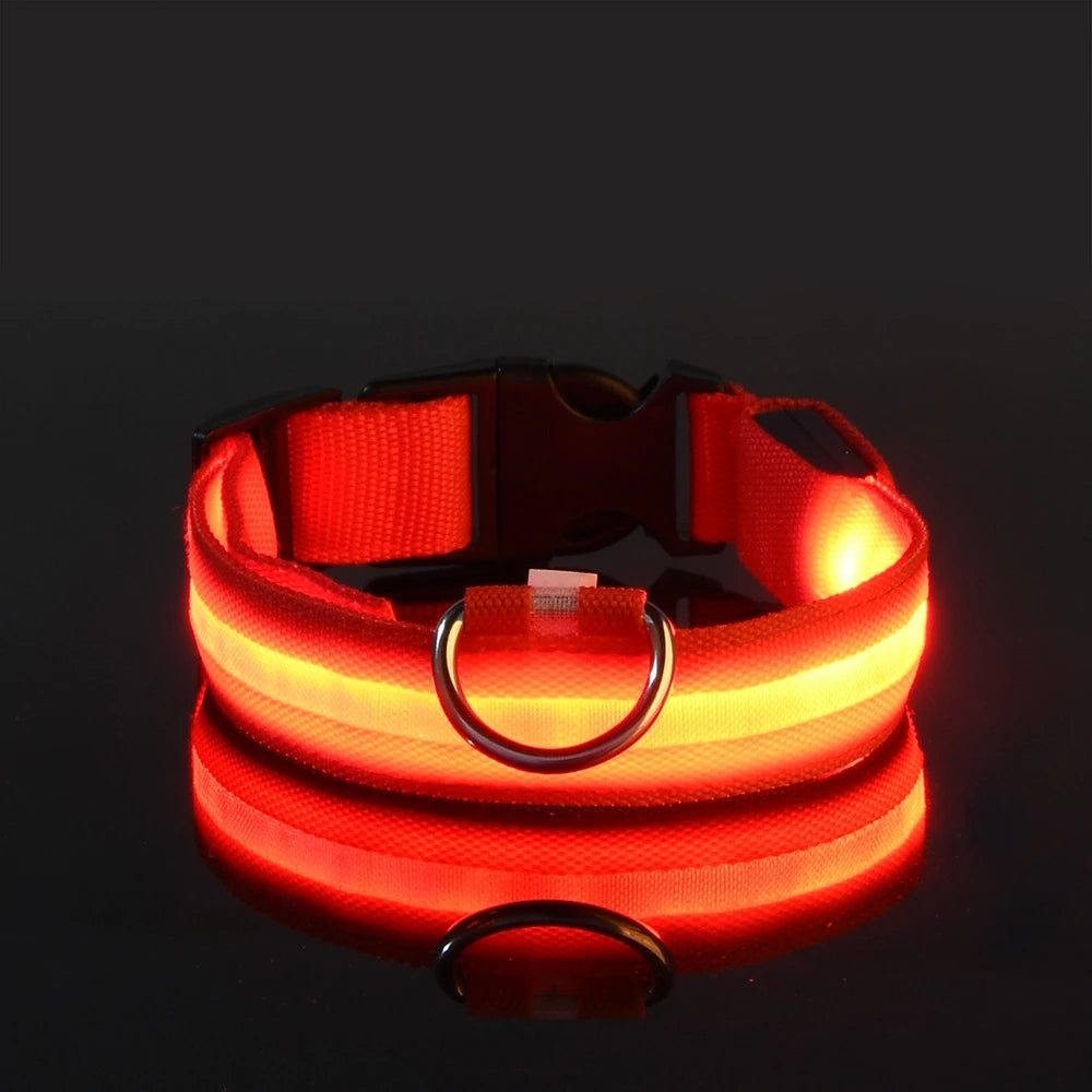 LED Safety Collar — Be Seen on Every Night Walk