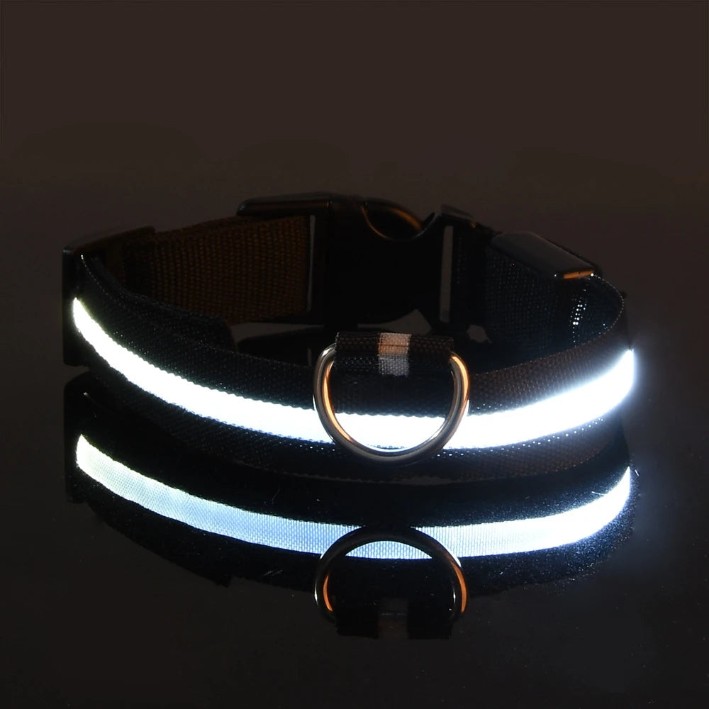 LED Safety Collar — Be Seen on Every Night Walk