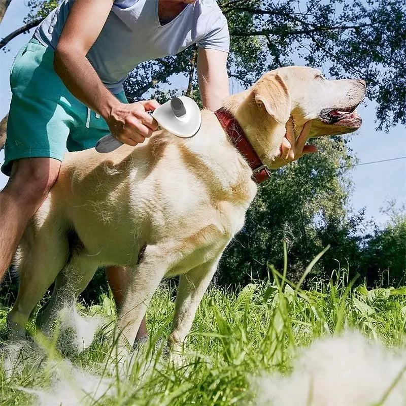 Self-Cleaning Deshedding Brush — One Click to Remove Dog Hair