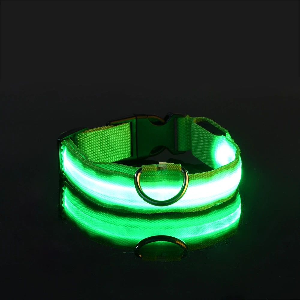 LED Safety Collar — Be Seen on Every Night Walk