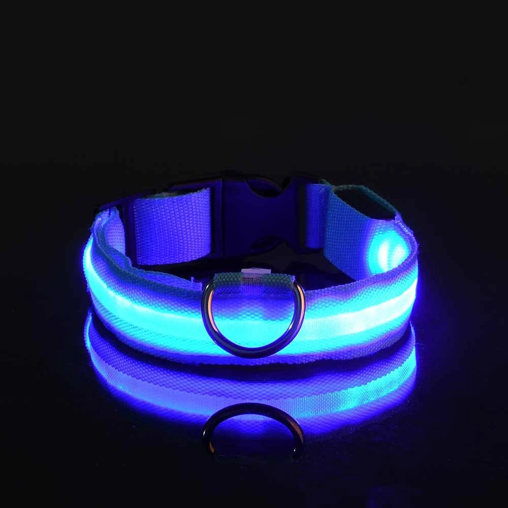 LED Safety Collar — Be Seen on Every Night Walk
