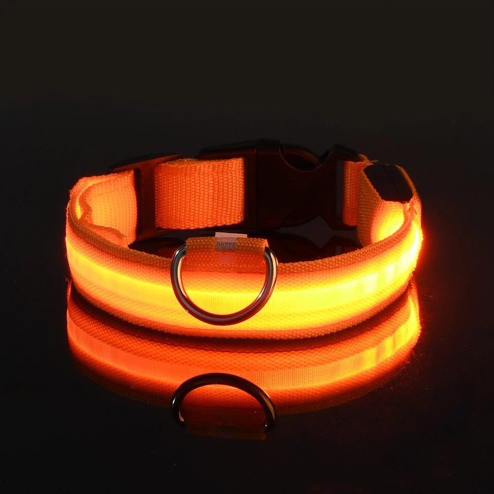 LED Safety Collar — Be Seen on Every Night Walk