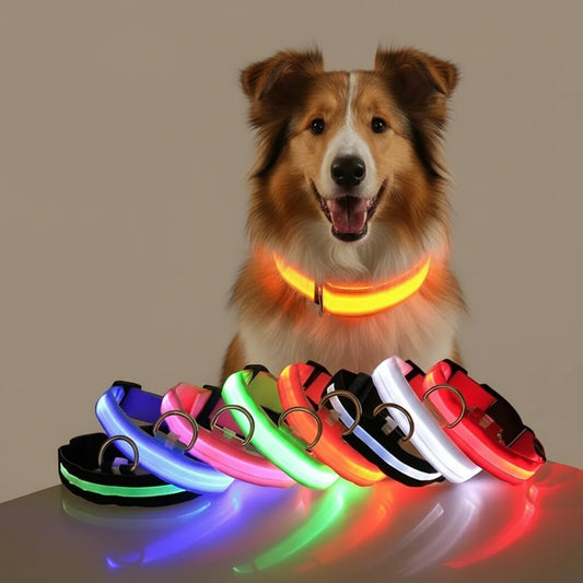 LED Safety Collar — Be Seen on Every Night Walk