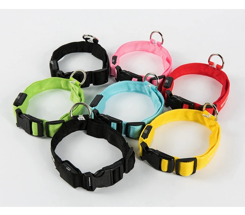 LED Safety Collar — Be Seen on Every Night Walk