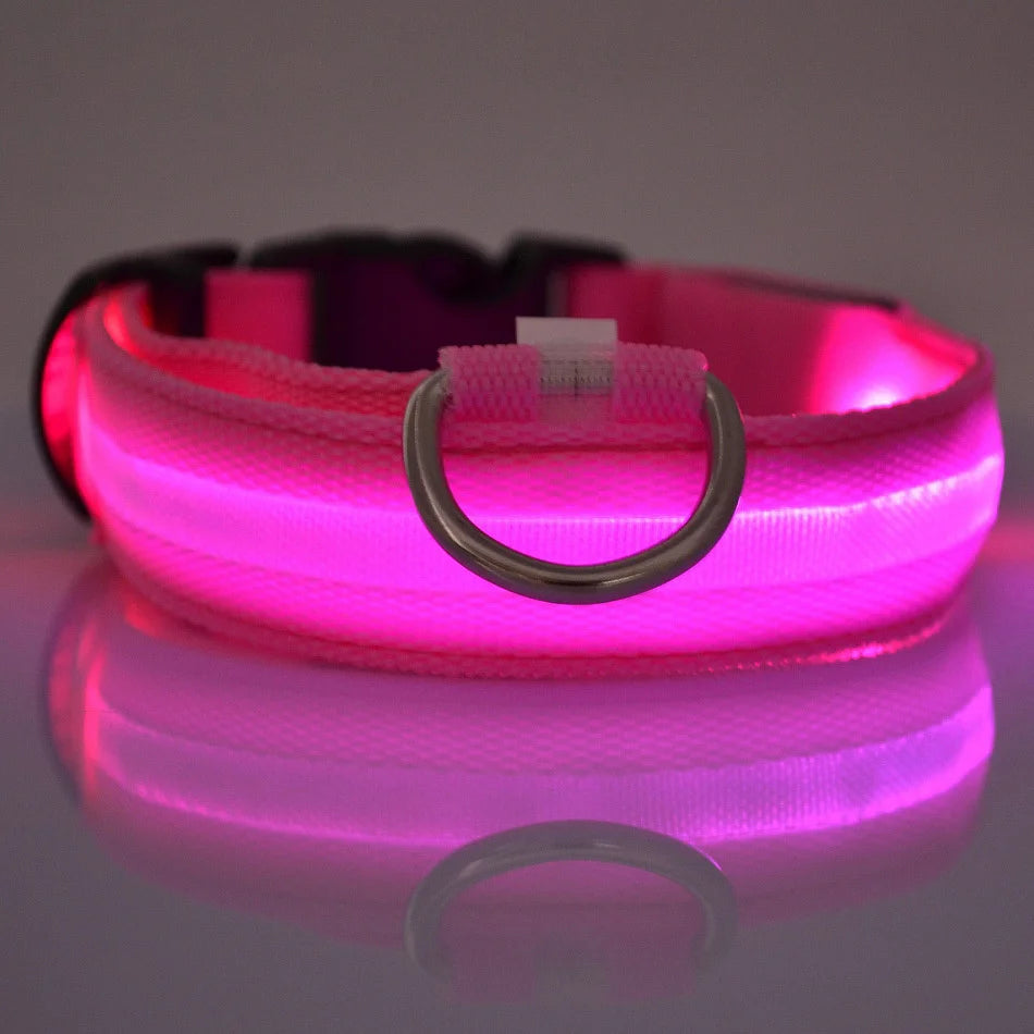 LED Safety Collar — Be Seen on Every Night Walk
