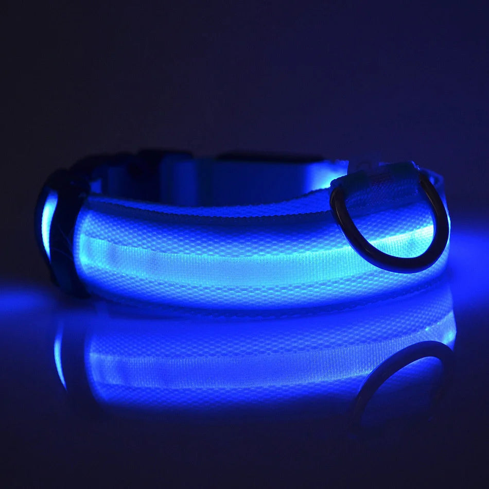 LED Safety Collar — Be Seen on Every Night Walk