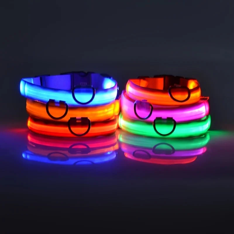 LED Safety Collar — Be Seen on Every Night Walk