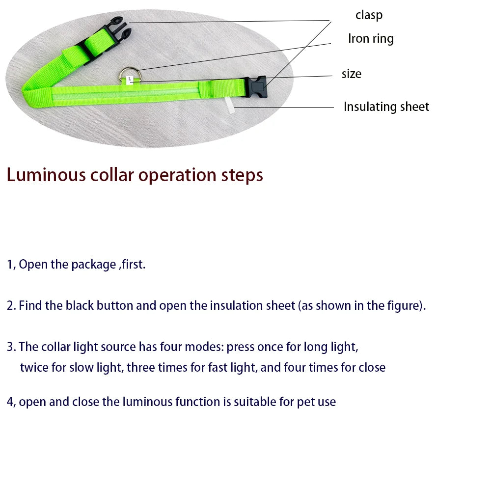 LED Safety Collar — Be Seen on Every Night Walk