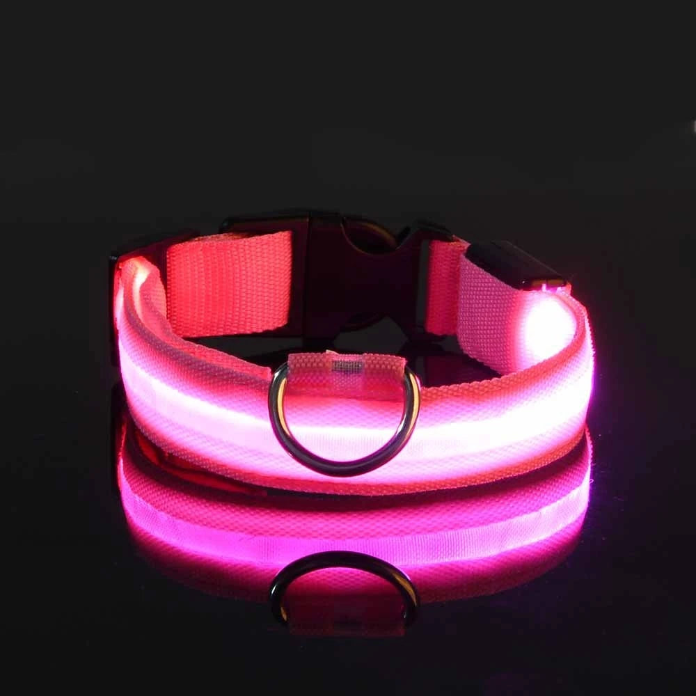 LED Safety Collar — Be Seen on Every Night Walk