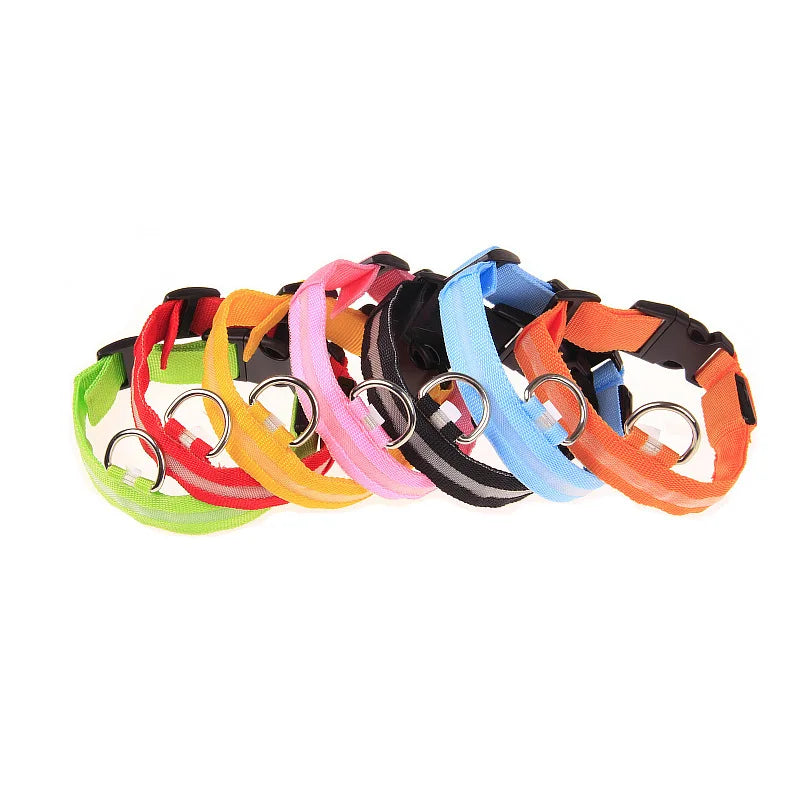 LED Safety Collar — Be Seen on Every Night Walk
