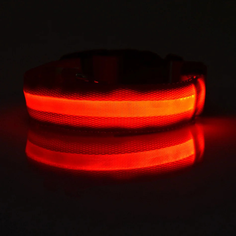 LED Safety Collar — Be Seen on Every Night Walk